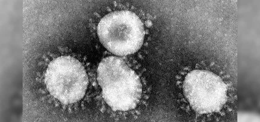 Salud y medicina: Coronavirus: todo lo que precisa saber